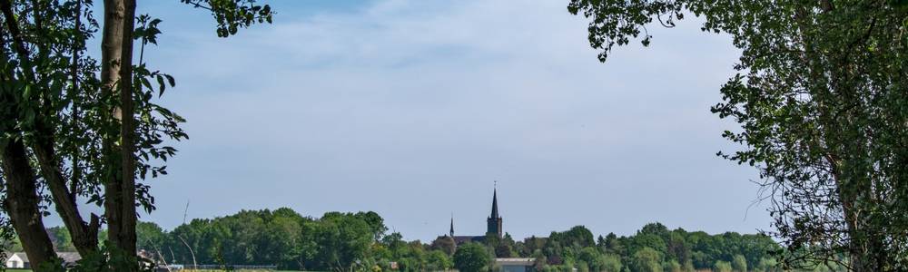 landschap